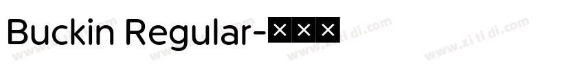 Buckin Regular字体转换
